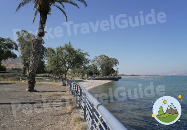 Sea of Galilee Camping Beaches - The Ultimate Map 2024 Rotem beach campsite at the Sea of galilee - PockeTravelGuide